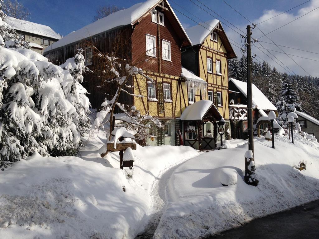 Haus Rennsteigrose Apartment Steinheid ภายนอก รูปภาพ